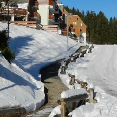 Au Pleynet Avec Balcon, Pres Des Pistes - Fr-1-557a-2 *